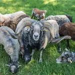 Am Heidenbach بيت للعطل ديغينهاوسيرتال