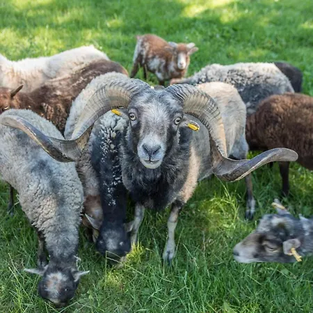 Am Heidenbach 德根豪塞尔塔尔