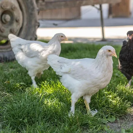 度假居 Am Heidenbach *